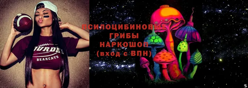 Псилоцибиновые грибы Psilocybe  Алзамай 