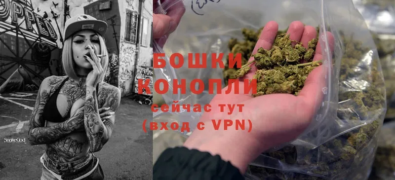 как найти закладки  Алзамай  Конопля Ganja 